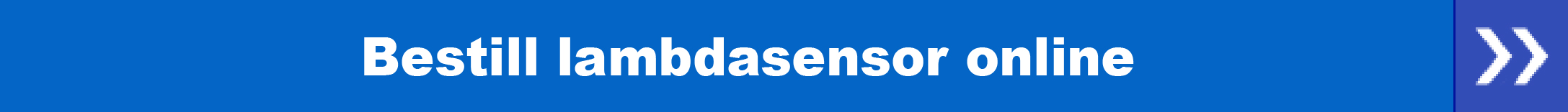 Bestill lambdasensor online