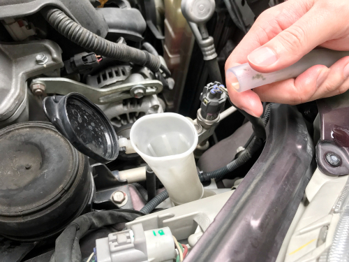 gnager laget reir i motorrommet